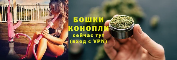 ПСИЛОЦИБИНОВЫЕ ГРИБЫ Абаза