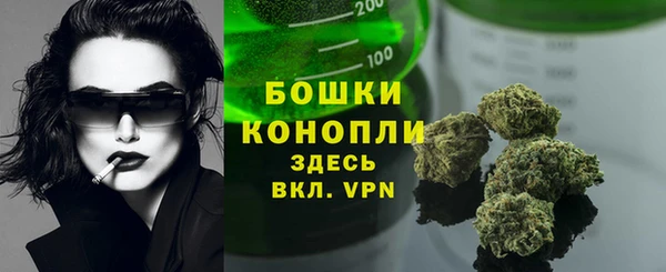 ПСИЛОЦИБИНОВЫЕ ГРИБЫ Абаза
