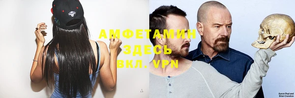 ПСИЛОЦИБИНОВЫЕ ГРИБЫ Абаза