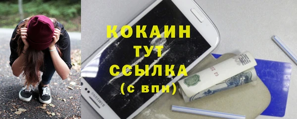 ПСИЛОЦИБИНОВЫЕ ГРИБЫ Абаза